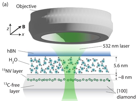 Diagram showing a diamond-based sensing system, with an hBN layer, water, nitrogen-vacancy layer and carbon-free diamond layer illuminated by a 532 nm laser.
