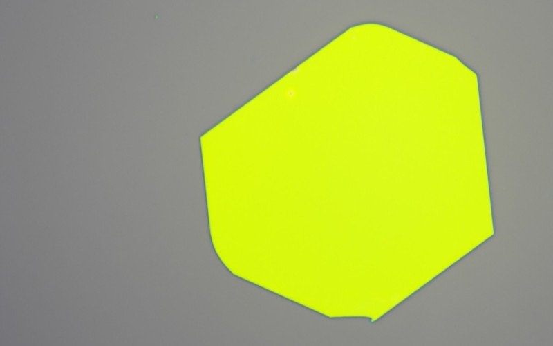 Microscope image of a large, bright yellow-green two-dimensional material flake on a grey background